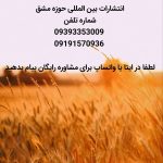 رتبه‌بندی معلمان؛ مسیر ارتقای حرفه‌ای و فرصت‌های طلایی برای افزایش حقوق و مهارت‌های علمی
